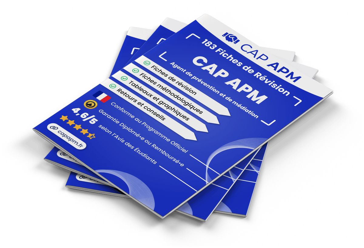 Image produit fiches-de-revision